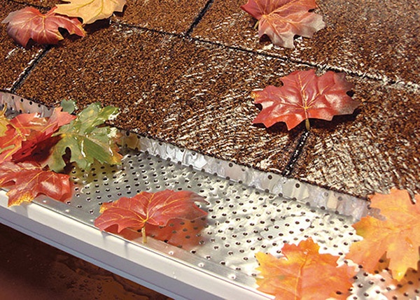 Leaves around a seamless gutter